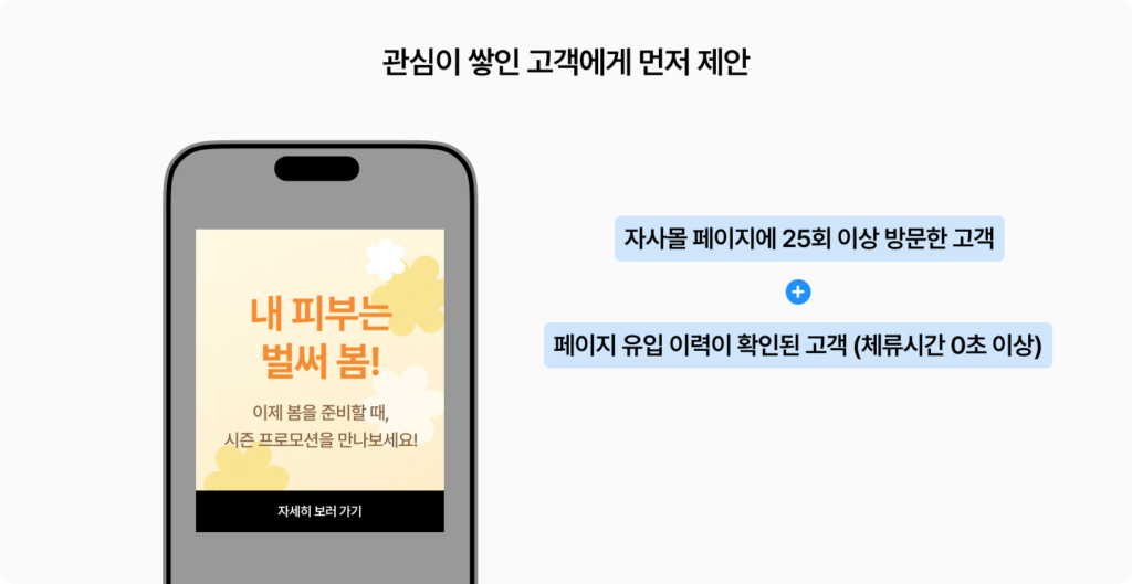 시즈널 마케팅 전략 A사 자사몰 방문 고객 세그먼트 타겟팅 예시